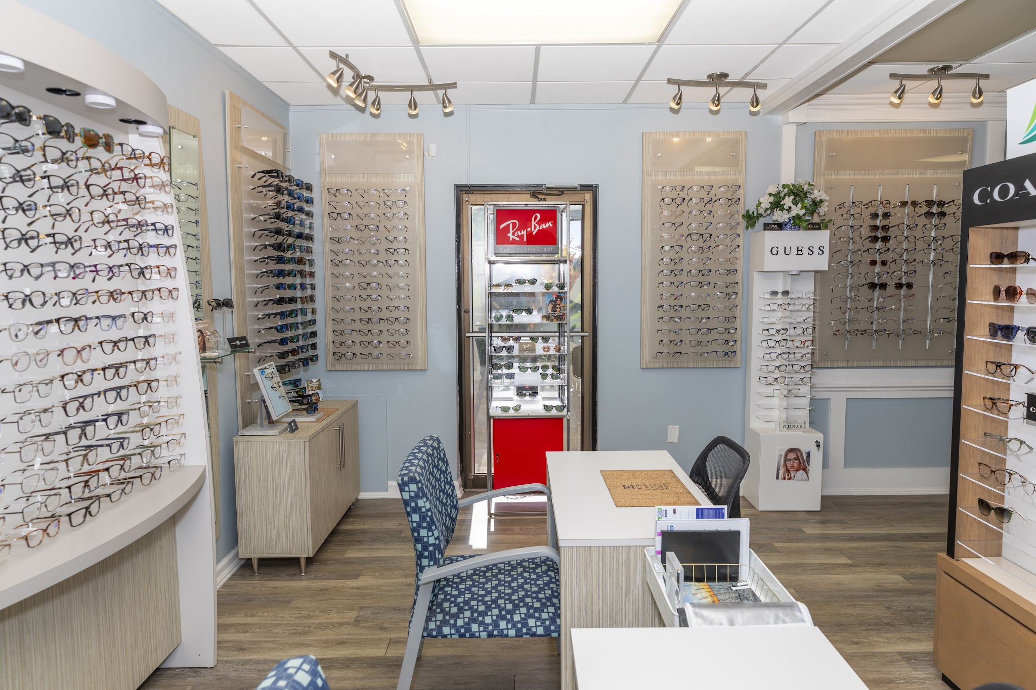 Designer frame display wall — Ray-Ban, Guess, Coach